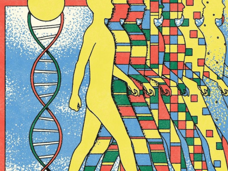 Somatics and the Art of Feeling&nbsp;Alive